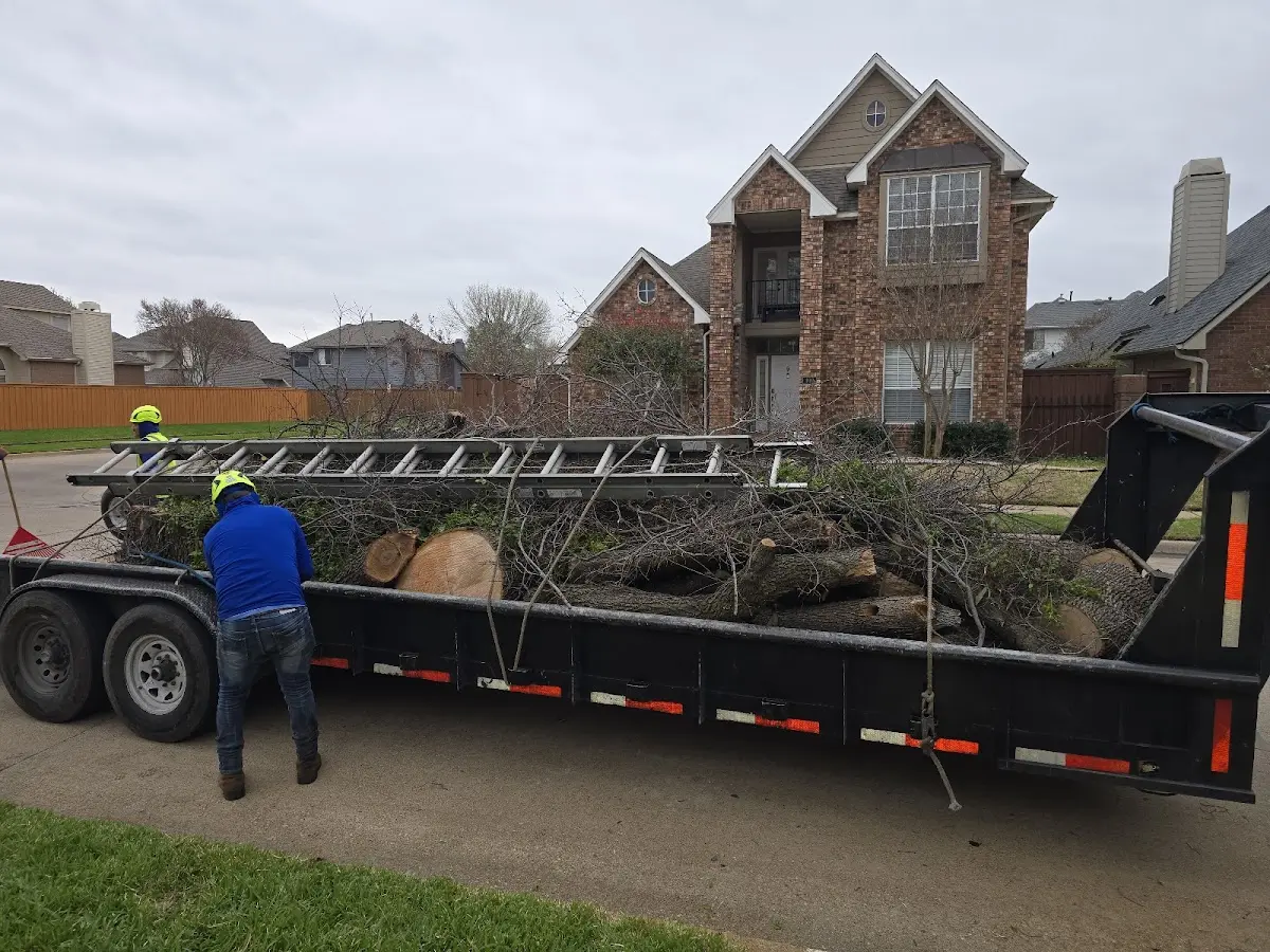 Expert Tree Pest Control with proper safety equipment in Skull Valley